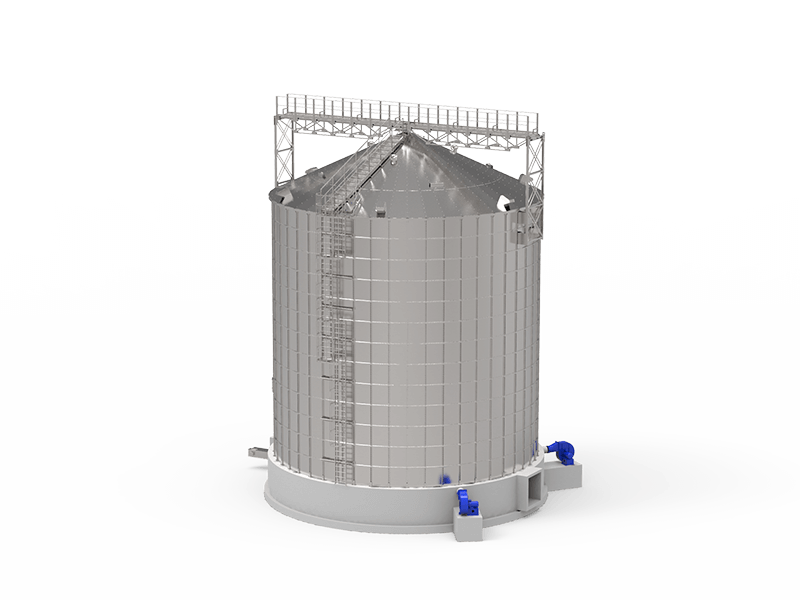 Зерновые плоскодонные